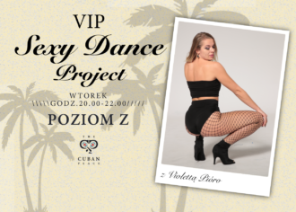 vip sexy dance